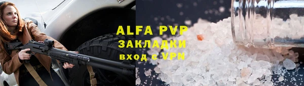 СК Алексин