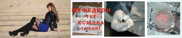 СК Алексин
