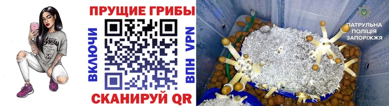 Галлюциногенные грибы MAGIC MUSHROOMS  ОМГ ОМГ рабочий сайт  Красногорск 